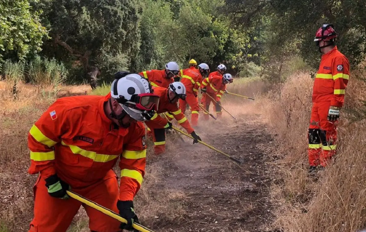 Maltese firefighters help battle Portugal wildfires Maltese firefighters help battle Portugal wildfires