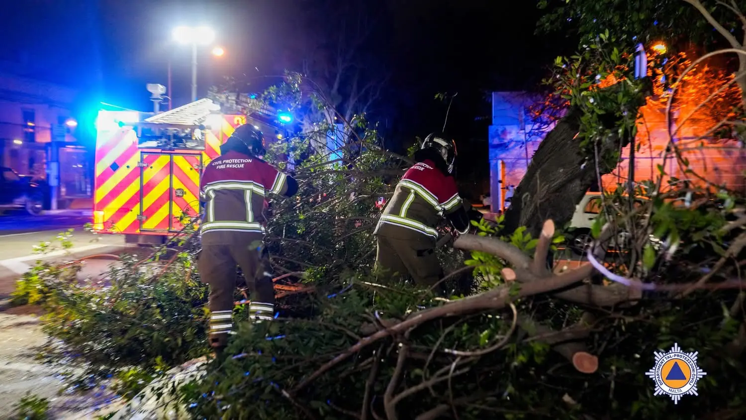 Storm Harry batters Malta, felling trees and disrupting flights