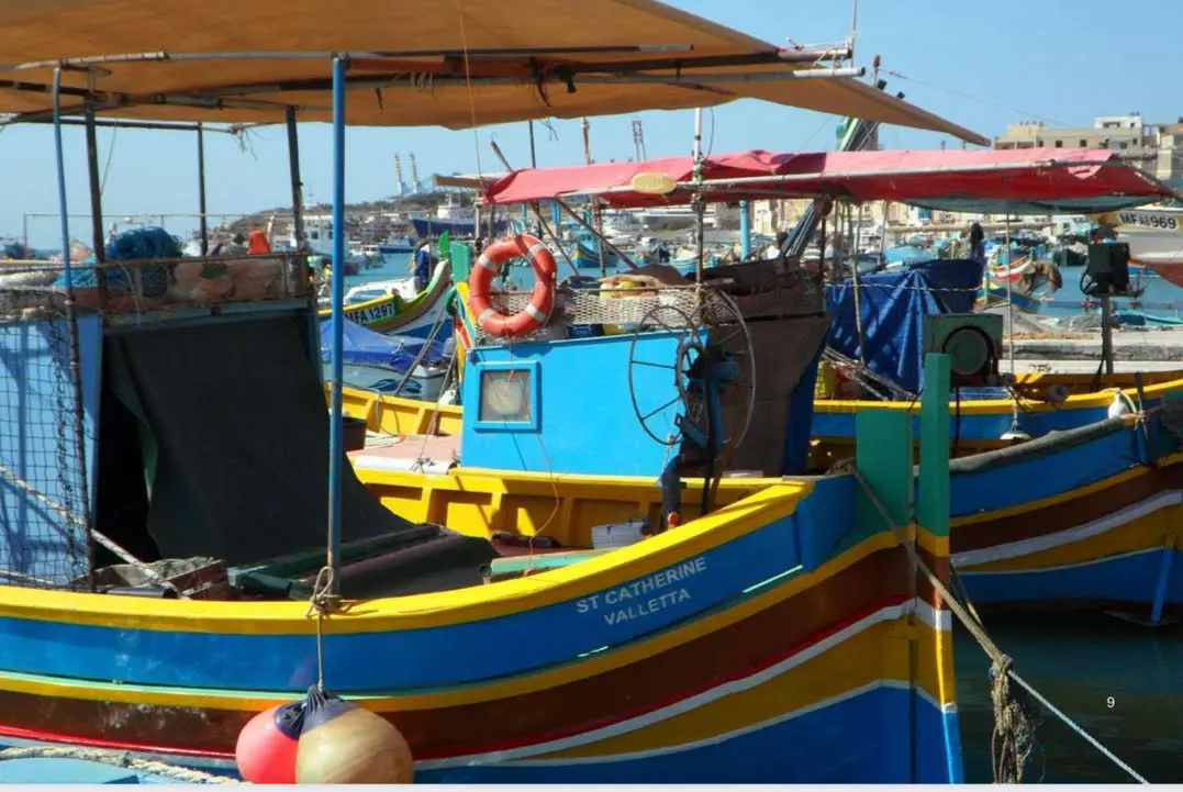 Malta launches 10-year plan to secure fisheries future
