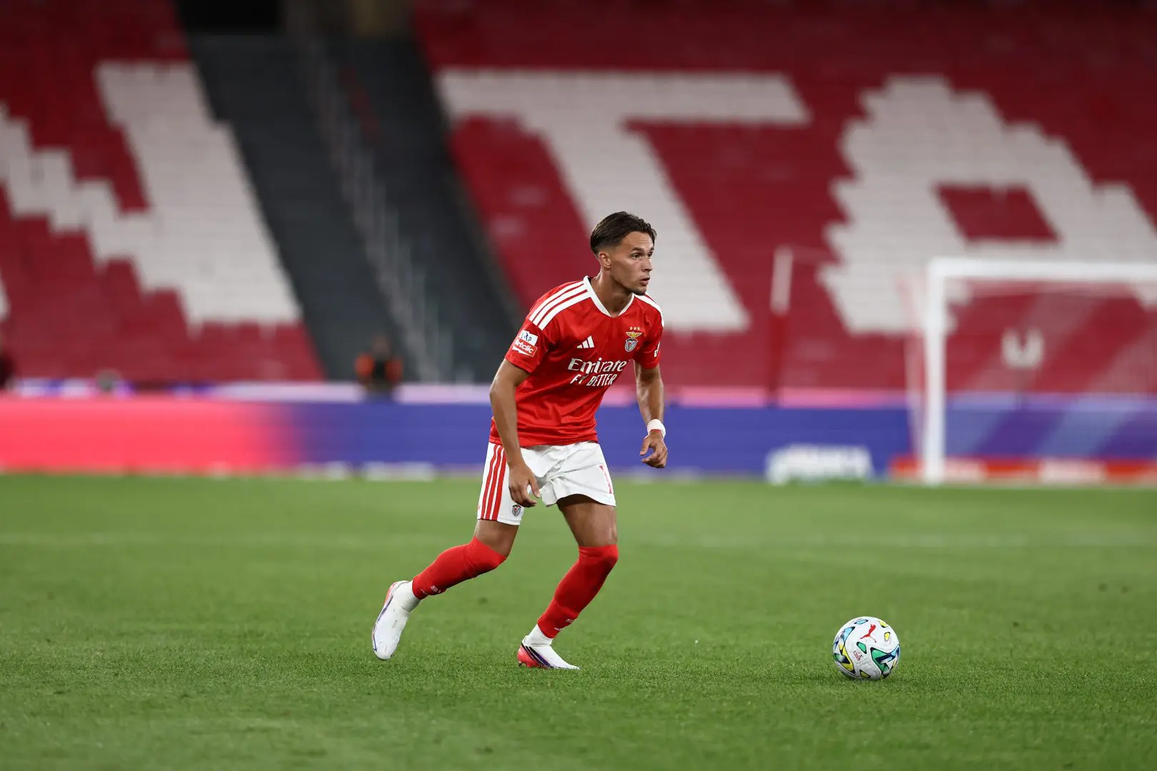 Newcastle acquires Amar Dedic from Benfica Newcastle acquires Amar Dedic from Benfica