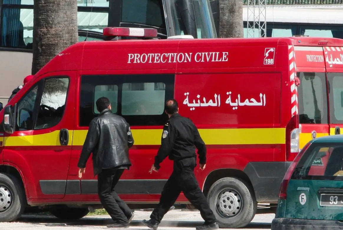 Tunisia, over 280 wildfire interventions in two days Tunisia, over 280 wildfire interventions in two days