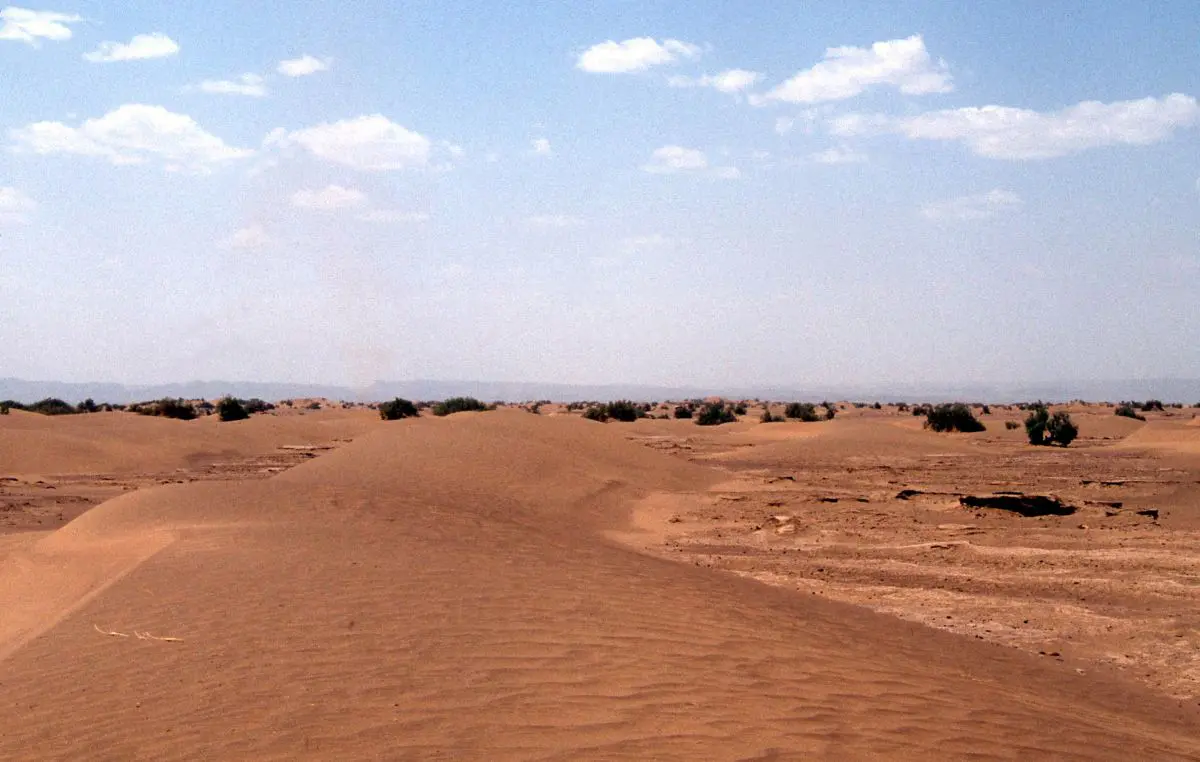 Western Sahara, Peru supports Morocco’s sovereignty and announce the opening of a consulate in Dakhla Western Sahara, Peru supports Morocco’s sovereignty and announce the opening of a consulate in Dakhla