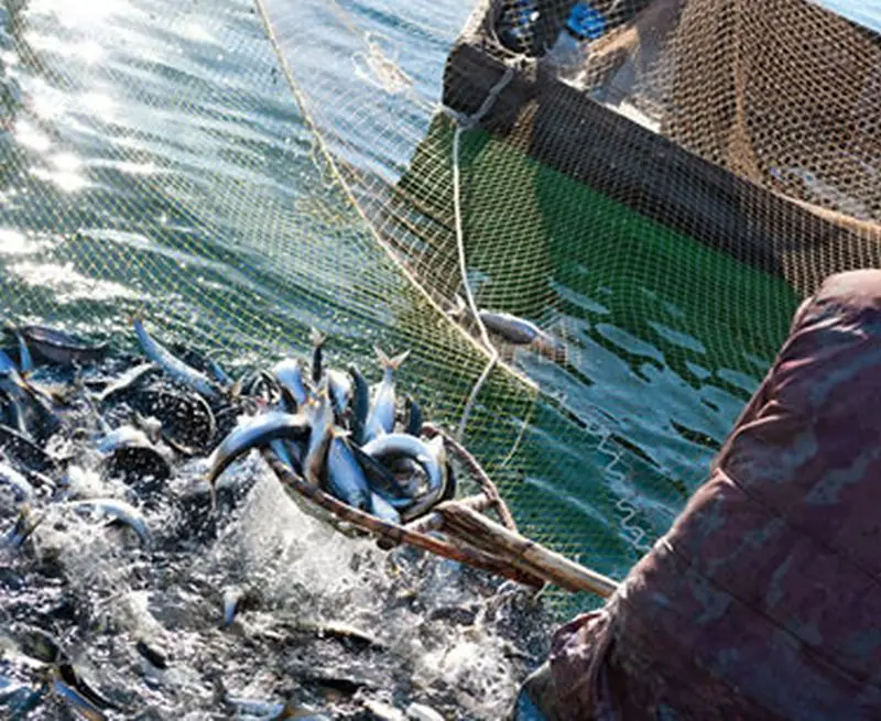 Malta deploys drones to combat illegal fishing Malta deploys drones to combat illegal fishing