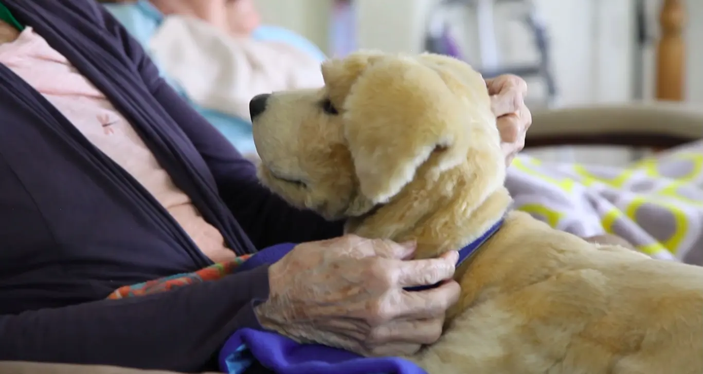 Malta among the EU’s highest dementia death rate Malta among the EU’s highest dementia death rate